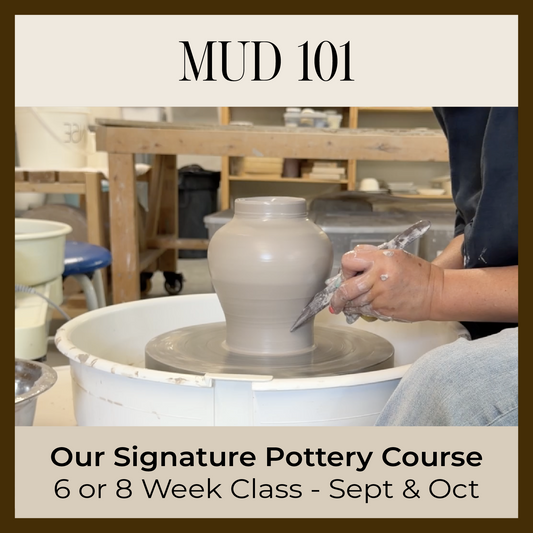 MUD 101 : SEPTEMBER/OCTOBER  2026 SESSION